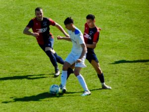 vianeseunitedcarpi