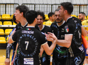 volleybenacus univolleycarpi